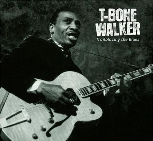 cd digi - T-Bone Walker - Trailblazing The Blues, Cd's en Dvd's, Cd's | Jazz en Blues, Zo goed als nieuw, Verzenden