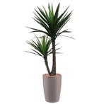 Yucca kunstplant, H200cm, Huis en Inrichting, Kamerplanten, Ophalen of Verzenden