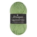 Scheepjes Truly Scrumptious - 318 Pistachio Bun. Cake, Hobby en Vrije tijd, Breien en Haken, Ophalen of Verzenden, Nieuw, Breien of Haken