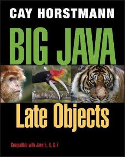 Big Java Late Objects | 9781118087886, Boeken, Studieboeken en Cursussen, Verzenden