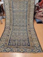 Antieke Daghestan van Scirvan, zeldzame kleur - Vloerkleed -, Nieuw