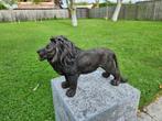 Beeld, Lion - 20 cm - Hars