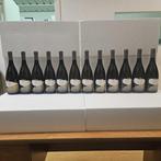 2023 Torre Rosazza, Chardonnay - Friuli-Venezia Giulia - 12, Nieuw