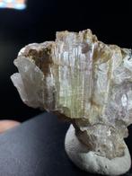 TORMALINA polychroom en LEPIDOLITE historische ELBAAN !!