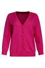 -60% Smashed Lemon  Smashed Lemon 24119 fuchsia zacht zomer, Kleding | Dames, Truien en Vesten, Verzenden, Nieuw, Roze
