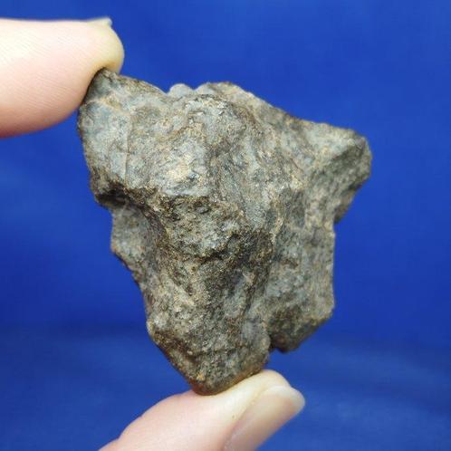 XL WINONAITE Meteoriet (Primitieve Achondriet). IN GHAR, Verzamelen, Mineralen en Fossielen