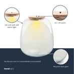 Terrarium fles - Model: Emma + led kurk -  25cm - Ø 23 cm, Verzenden