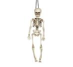 Halloween Skelet 40cm, Hobby en Vrije tijd, Feestartikelen, Verzenden, Nieuw