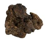 DOG WOODZZZ KAUWWORTEL MET OLIJFOLIE M 301-500 GR (Honden), Verzenden, Nieuw