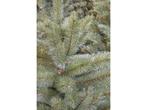 Triumph Tree Forest Frosted Kunstkerstboom - H185 x Ø130 cm, Verzenden, Nieuw