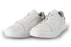 Timberland Sneakers in maat 46 Wit | 10% extra korting, Kleding | Heren, Schoenen, Wit, Zo goed als nieuw, Sneakers of Gympen
