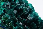 Zeldzaam donker smaragdgroen dioptase met blauwe shattuckiet, Verzamelen