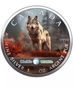 Canada. 5 Dollars 2024 Maple Leaf - Wolf, 1 Oz (.999)