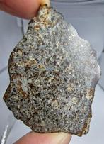 NWA 869 meteoriet, L3-6. De beroemdste chondriet - 62.76 g, Verzamelen, Mineralen en Fossielen