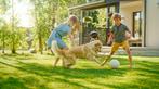 Sport en speel Graszoden, Tuin en Terras, Planten | Tuinplanten