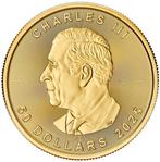 Canada. 50 Dollars Maple Leaf 2025 1 oz Goldmünze Gold Coin, Postzegels en Munten, Edelmetalen en Baren