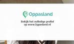 Ik ben Susan, 33 jaar oud en ik zoek oppaswerk in Bussum., Diensten en Vakmensen