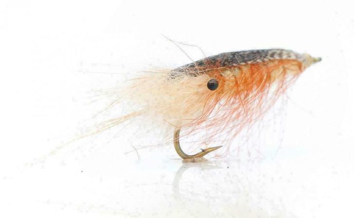 NIEUWE ZEEFOREL VLIEGEN, Klik naar E10 Flyfishing!, Watersport en Boten, Hengelsport | Vliegvissen, Overige typen, Nieuw, Verzenden