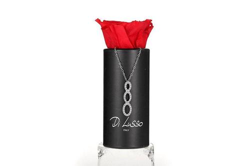 Cadeaudoos met ketting en échte roos, Sieraden, Tassen en Uiterlijk, Kettingen, Nieuw