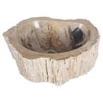 Differnz Waskom | Fossil | Hout | 45cm, Ophalen of Verzenden, Nieuw, Overige typen
