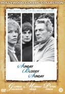 Sunday bloody sunday - DVD, Verzenden, Nieuw in verpakking