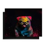 Funky Pup - Inductie Beschermer - 81x52 cm, Huis en Inrichting, Verzenden, Nieuw
