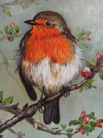 Tomasz Bednarski (1965) - Robin