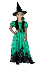 Heks Kostuum Groen Kind Lang Chanika, Kleding | Dames, Ophalen of Verzenden, Nieuw