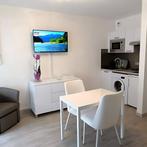 Furnished Studio met Mezzanine gevonden in Amsterdam, 20 tot 35 m², Amsterdam
