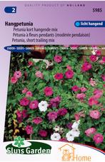 Petunia Kort Hangende Mix Zaden, Compacte Hangpetunia, Verzenden