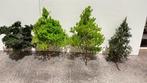 Ultra Realistische modelbouw bomen H0, N, TT - eigen, Nieuw
