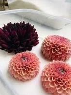 Silicagel prepareerzout voor het drogen van bloemen 3-5 mm, Ophalen of Verzenden, Nieuw