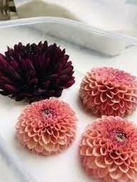 Silicagel prepareerzout voor het drogen van bloemen 3-5 mm, Hobby en Vrije tijd, Knutselen, Nieuw, Ophalen of Verzenden