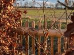 hekwerk | Engels hekwerk | Schapenhek | Landelijk, Tuin en Terras, Nieuw, Hout, Overige typen, Met poort