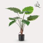 Kunstplant - Alocasia - Olifantsoor - 70 cm, Verzenden, Nieuw