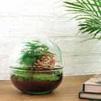 DIY terrarium - Dome Red -  20 cm, Huis en Inrichting, Kamerplanten, Verzenden