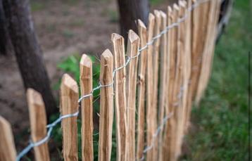 Ambachtelijke ROBINIA HOUT SCHAPENHEKEN 100cm Akeus duurzaam beschikbaar voor biedingen