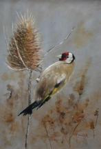 Lodewijk Busing 1965 - / CH van Dijk - Putter in distel