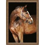 Bruin paard 1 60x80x3cm, Huis en Inrichting, Ophalen of Verzenden, Nieuw