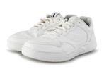 Skechers Sneakers in maat 42 Wit | 10% extra korting, Kleding | Dames, Schoenen, Wit, Zo goed als nieuw, Skechers, Sneakers of Gympen