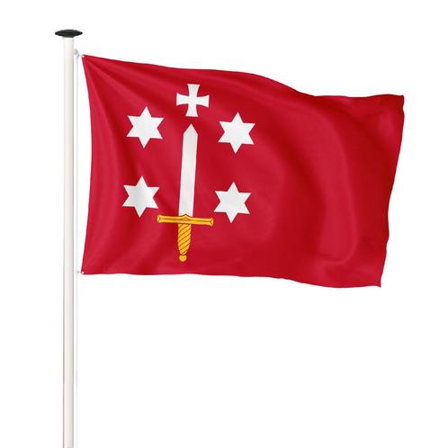 Vlag Haarlem 200x300cm (voor masten 7 en 8 meter), Diversen, Vlaggen en Wimpels, Nieuw