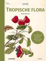 9789089899620 Natuur aan de muur - Tropische Flora, Boeken, Verzenden, Zo goed als nieuw, Hans Mulder