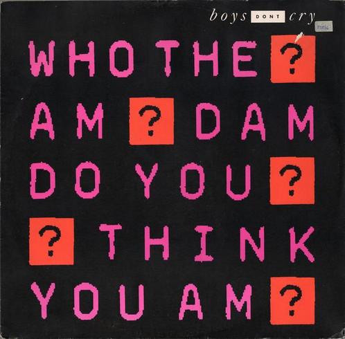 Boys Don&apos;t Cry - Who The Am Dam Do You Think You Am?, Cd's en Dvd's, Vinyl | Overige Vinyl, Verzenden