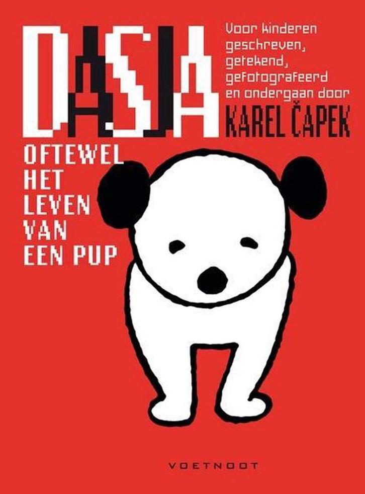 Dasja, oftewel Het leven van een pup 9789491738449, Boeken, Kinderboeken | Baby's en Peuters, Zo goed als nieuw, Verzenden