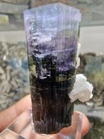 Tourmaline) Multicolor top - Hoogte: 48 mm - Breedte: 25 mm-