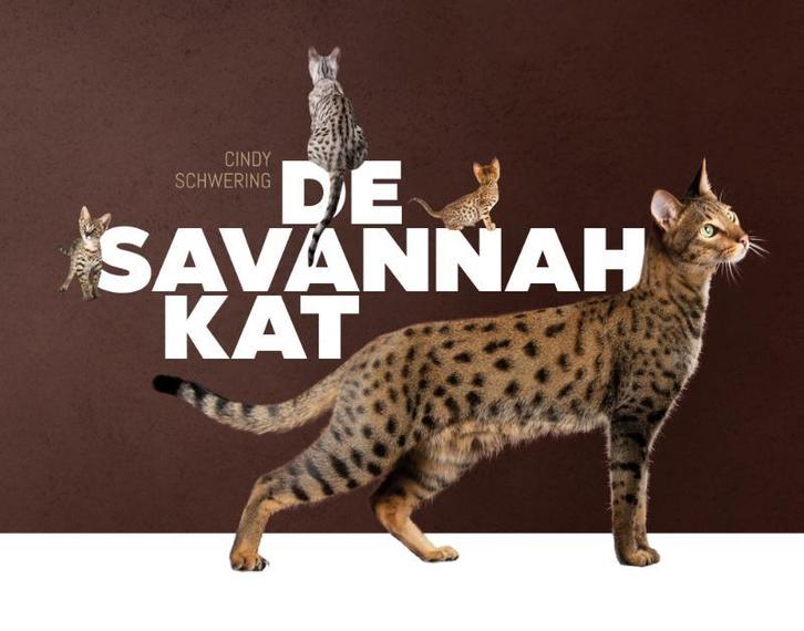 De Savannah kat 9789081133050 Cindy Schwering, Boeken, Hobby en Vrije tijd, Gelezen, Verzenden
