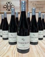 2022 Domaine Ludovic Charvet - Chiroubles - 12 Flessen (0.75, Nieuw