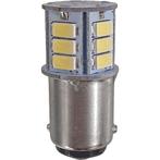 LED Lamp 12V Puur Wit 6000-6500 Ba15, Watersport en Boten, Ophalen of Verzenden, Nieuw