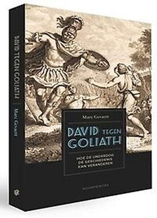 Boek David tegen Goliath 9789086794980, Boeken, Overige Boeken, Zo goed als nieuw, Verzenden
