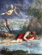 Bernard Picart (1673-1733) - Narciso - Originale